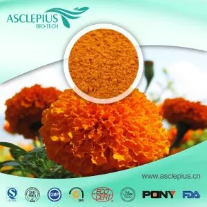 Marigod Extrait Powder Supplier Wholesale/lutein bon pou je, sipleman lutein
