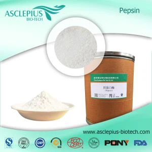 Pepsin Wholesale