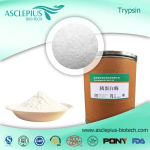 Tripsin Wholesale